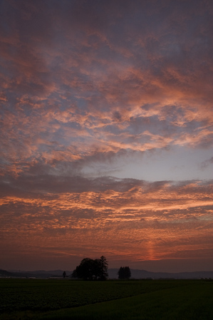 夕焼け1.jpg