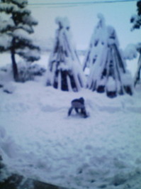 20081120094926.jpg