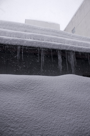 3月10日雪2.jpg