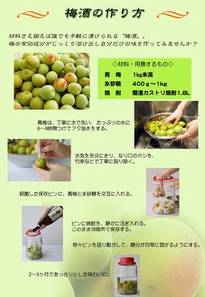梅酒の作り方.jpgのサムネール画像のサムネール画像
