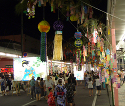CIMG0192.jpg