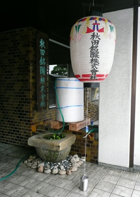 P1000580.JPG