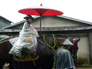 P1000586.JPG