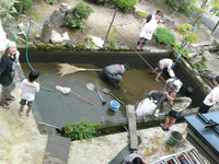 P1000612.jpgのサムネール画像