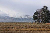 初雪観測１.jpg