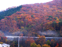 紅葉2.jpg