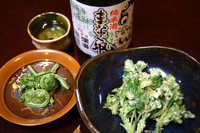 山菜１.jpg