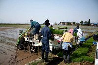 田植え3.jpg