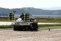 田植え7.jpg
