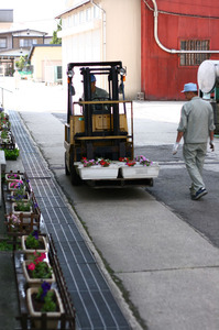 花植え3.jpg
