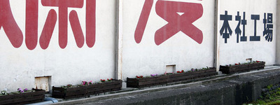 花植え4.jpg