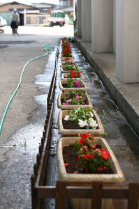 花植え5.jpg