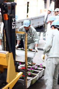 花植え6.jpg