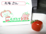 とまと3.jpg