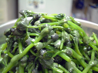 DSCF0013.JPG