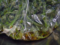 DSCF0018.JPG