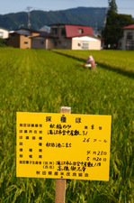 くさとり3.jpg