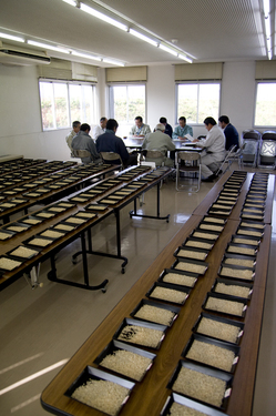 酒米審査.jpg