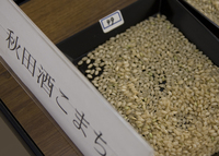 酒米審査５.jpg