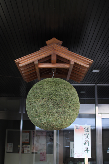 杉玉 2010.jpg
