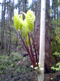 SBSH0077.JPG
