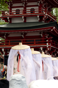 小町祭り１.jpg