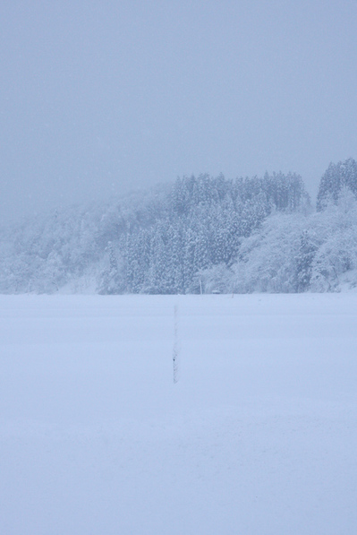 湯沢市積雪情報 1227.jpg