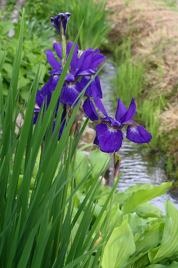 IMG_3082.jpgのサムネール画像