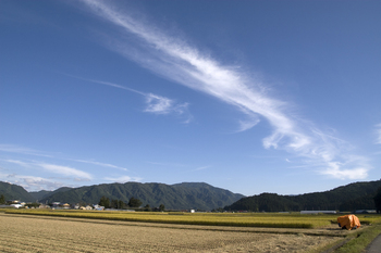 湯沢市山田地区稲刈り 6.jpg