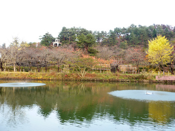 P1020682.jpg