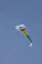 IMG_1621.jpg