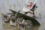 除草機械.jpg