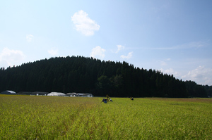 IMG_3406.jpg