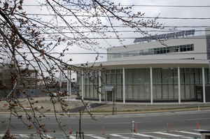 中央公園　桜 新庁舎2014.4.23.jpgのサムネール画像