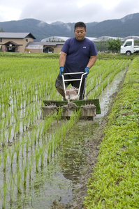 草取り2014.2.jpg