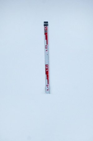 湯沢市積雪情報 2015.2.10.1 .jpg