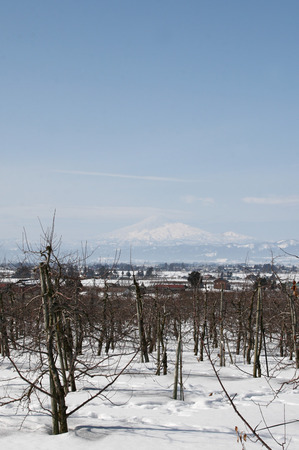 鳥海山写真2015.2.22.2 .jpg