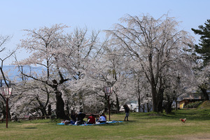 前森公園2015.4.2.jpg