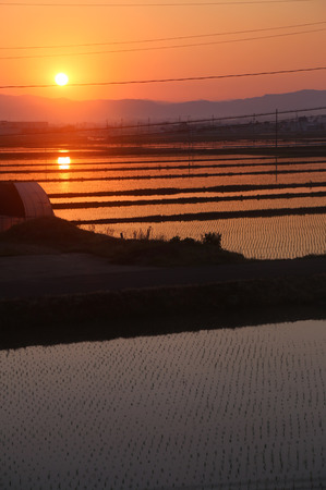 朝日　田植え後.jpg
