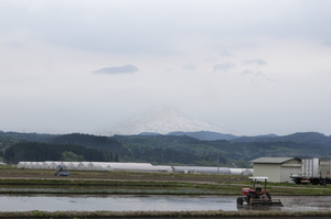 鳥海山写真2015.5.8 .jpg