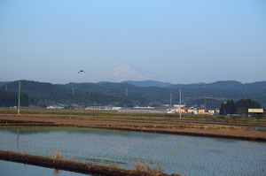 IMG_3954.jpg