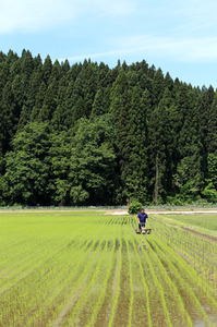 除草１.jpg