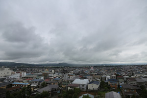 IMG_4772.jpg