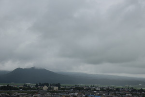 IMG_4773.jpg