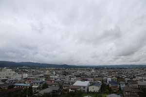 IMG_5553.jpg
