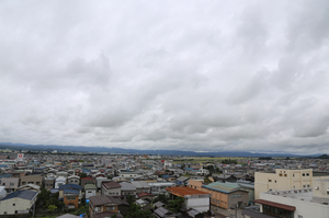 IMG_5555.jpg