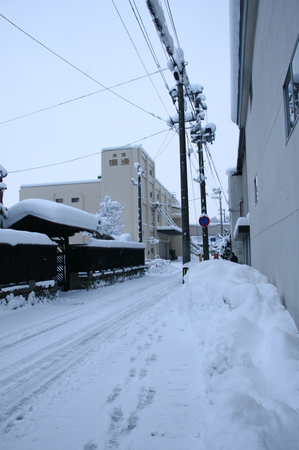秋田県　湯沢市　積雪情報2015.12.293　.jpg