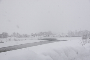 秋田県　湯沢市　積雪情報2016.1.13.2　.jpg