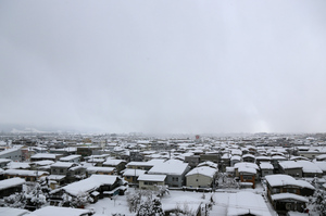 IMG_7346.jpg