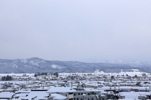 IMG_7862.jpg